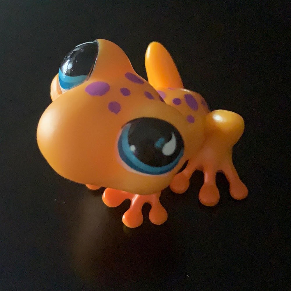 Orange and purple lps frog